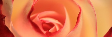 De Tzolkin en Venus retrogade: collectieve wedergeboorte 5 oktober - 16 november